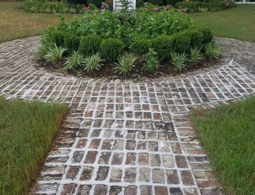 Pavers vs. Stamped Concrete: Which Backyard Upgrade Makes the Better Investment?