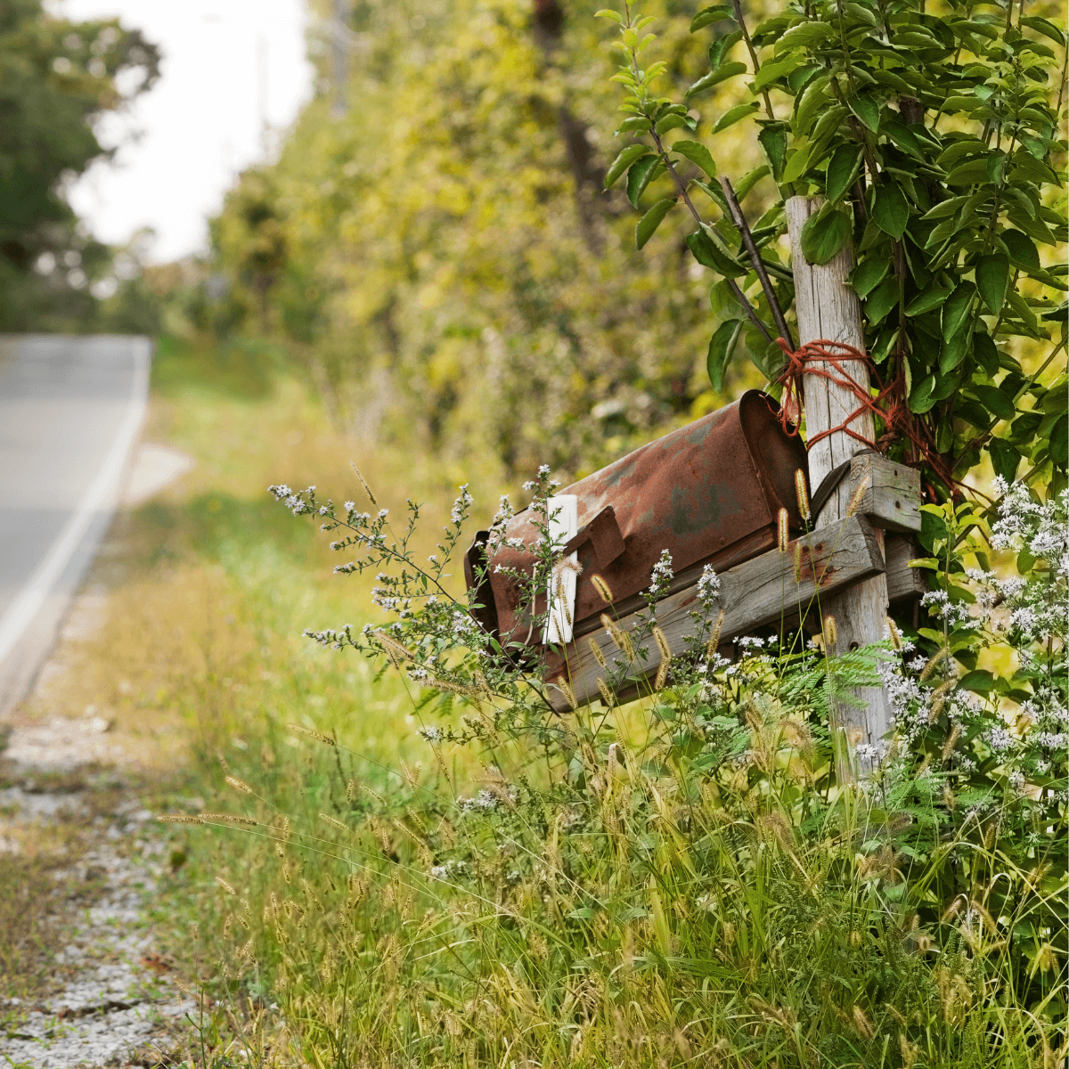 broken mailbox at the end of a driveway that needs to be repaired